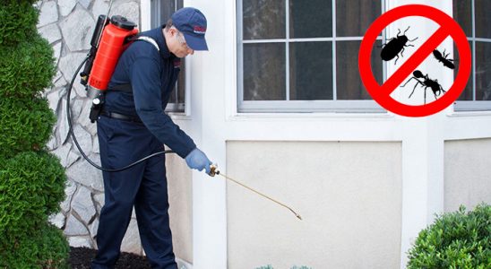 Bandırma Bit İlaçlama böcek ilaçlama ve haşere kontrolü — ilaclama-tr.com